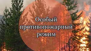 В Кургане 1 апреля вводится особый противопожарный режим.